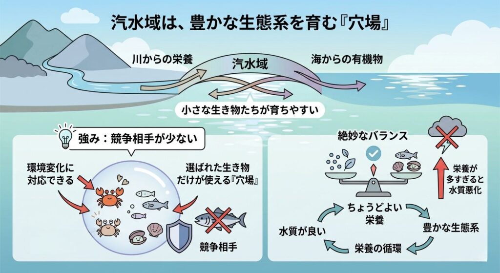 汽水域の豊かな生態系を生む環境を解説